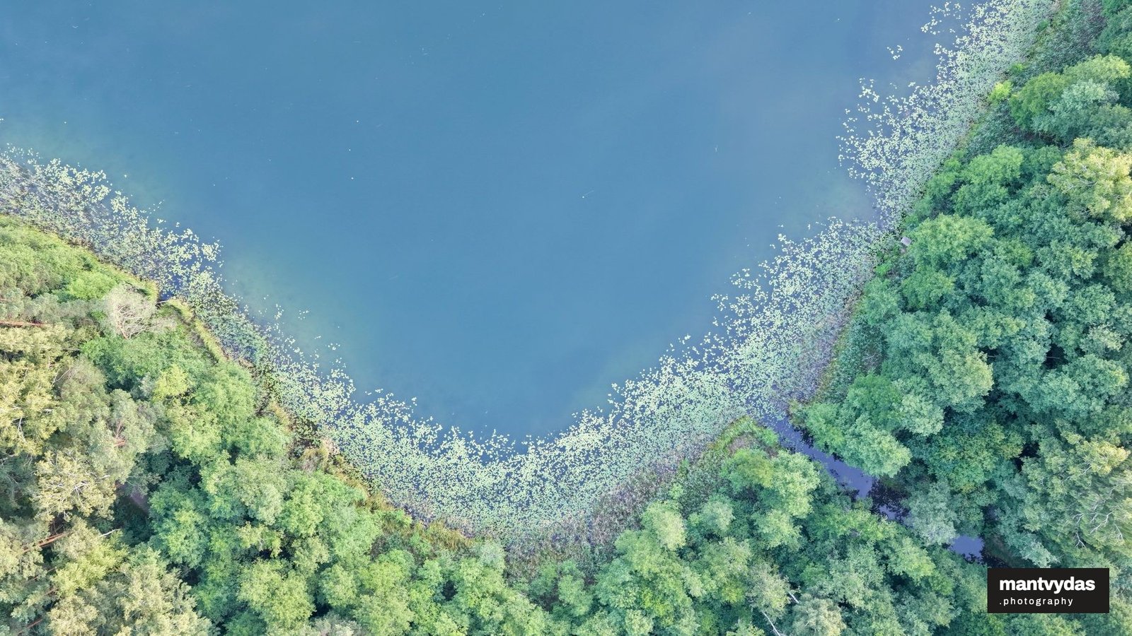 Lake shallows, abstract