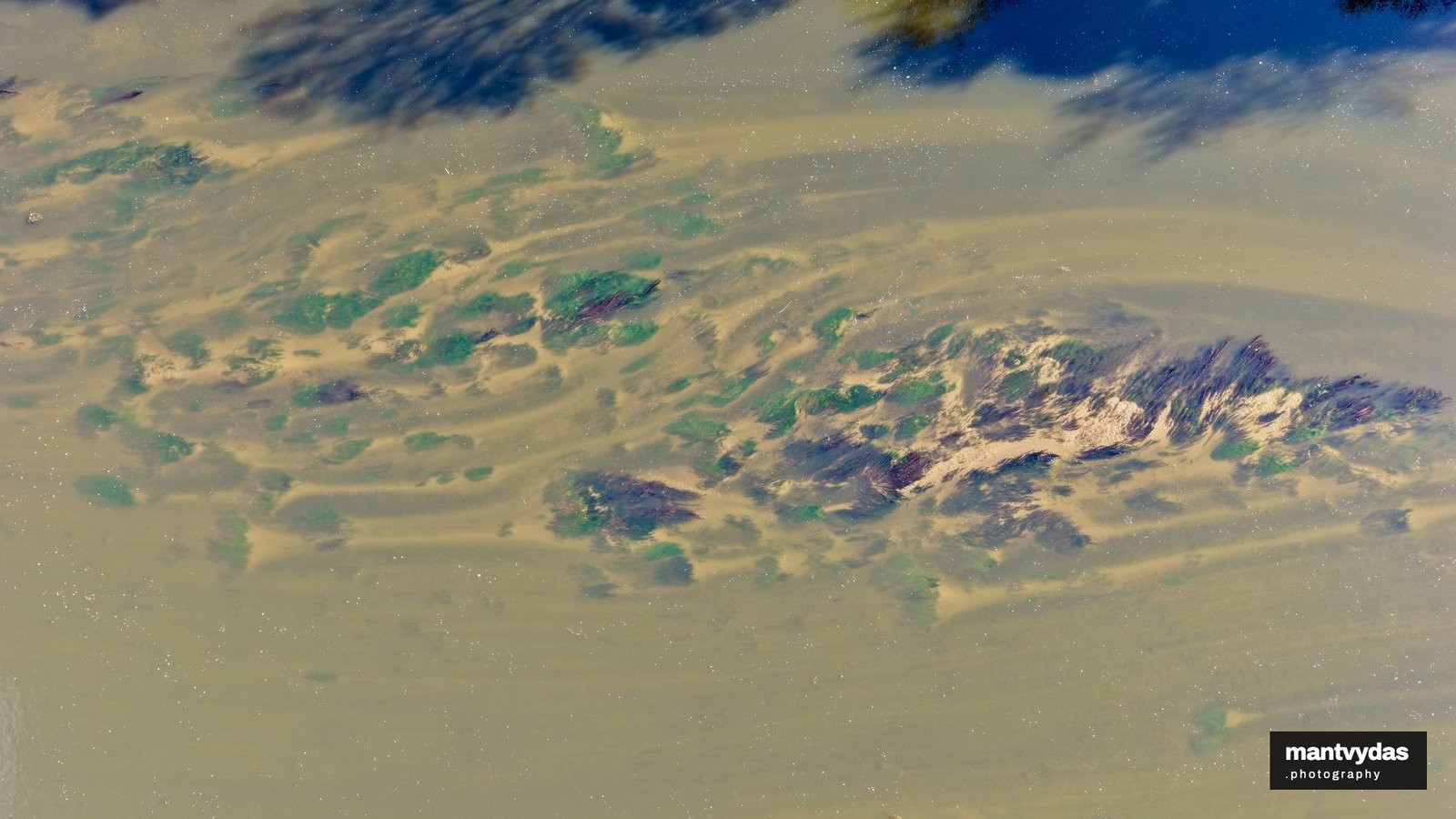 Sandbars in the Neris, Vilnius, autumn midday